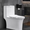 WC Monobloc Design en Céramique avec Chasse Puissante