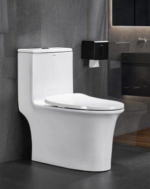 WC Monobloc Design en Céramique avec Chasse Puissante