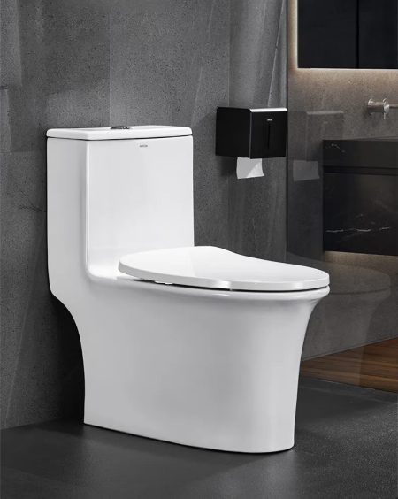 WC Monobloc Design en Céramique avec Chasse Puissante