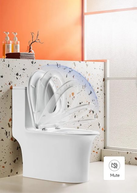 WC Monobloc Design en Céramique avec Chasse Puissante